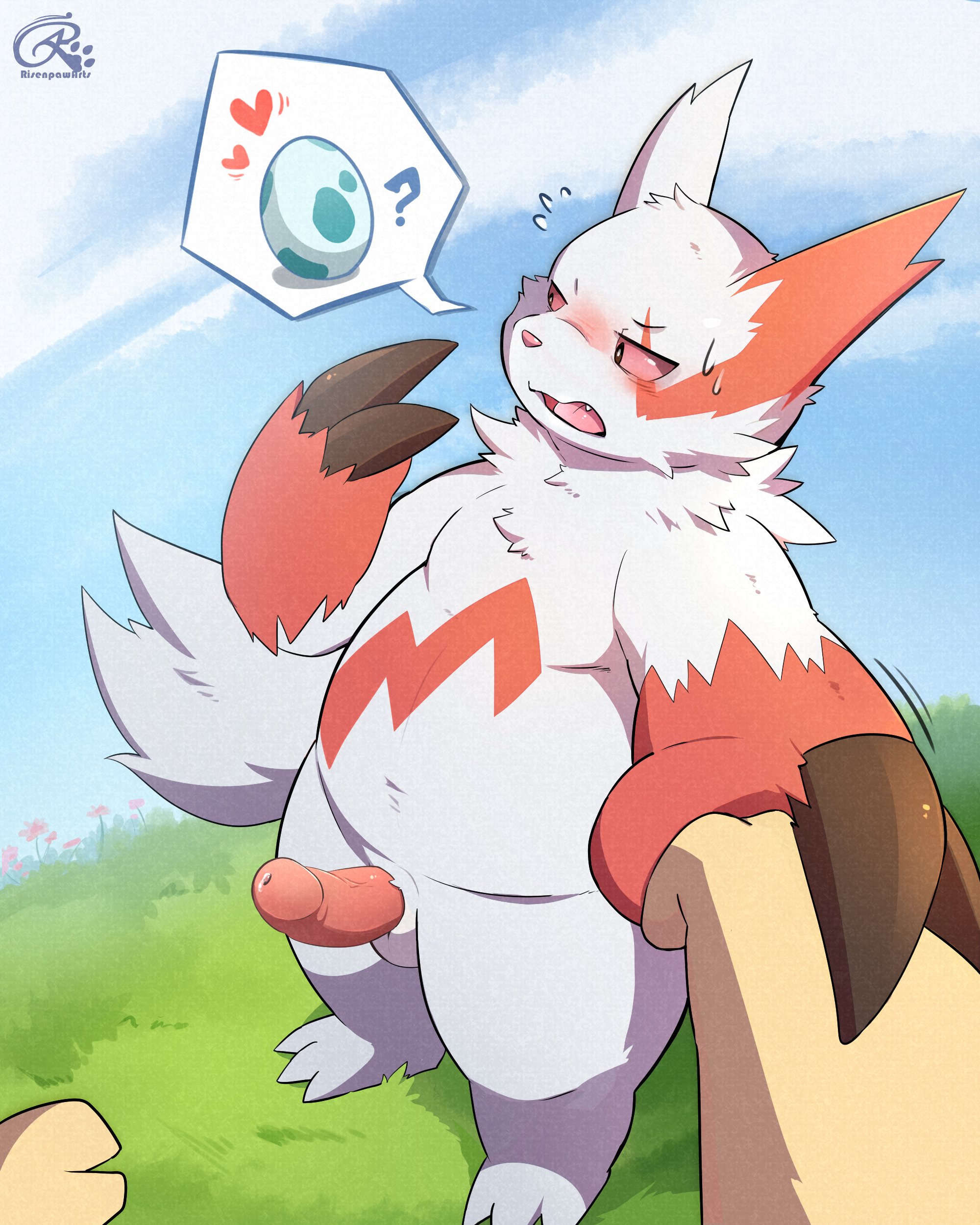 Porkyman Zangoose risenpaw