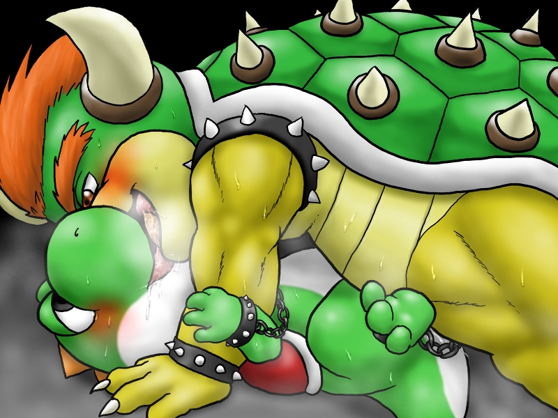 Post 316138 Bowser Koopa Supermariobros Yoshi 