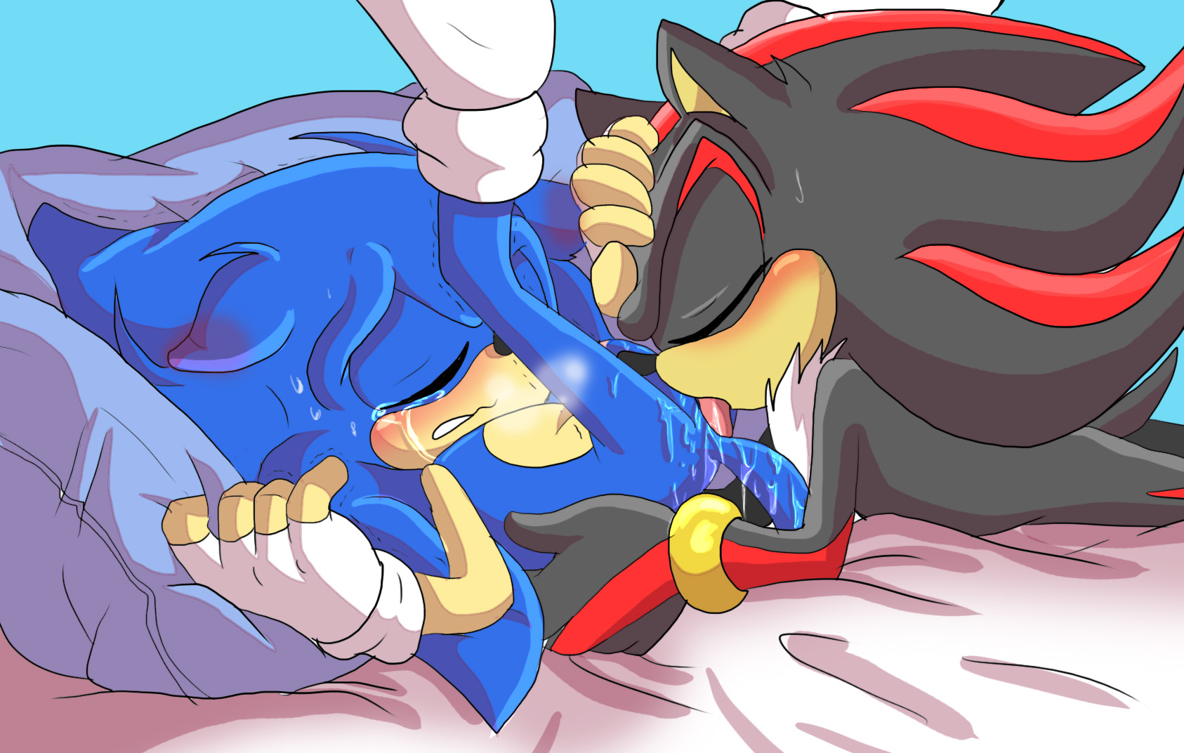 Shadow x sonic rule 34