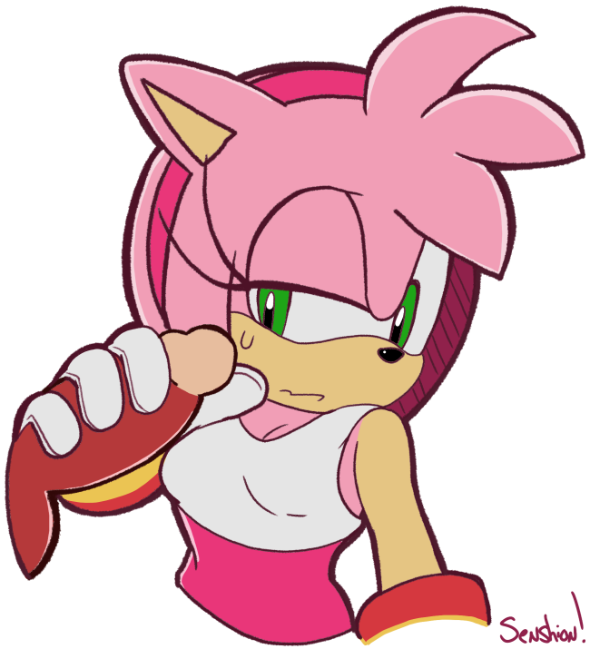 Amy_Rose Sonic_Riders Sonic_the_Hedgehog_(series) senshion