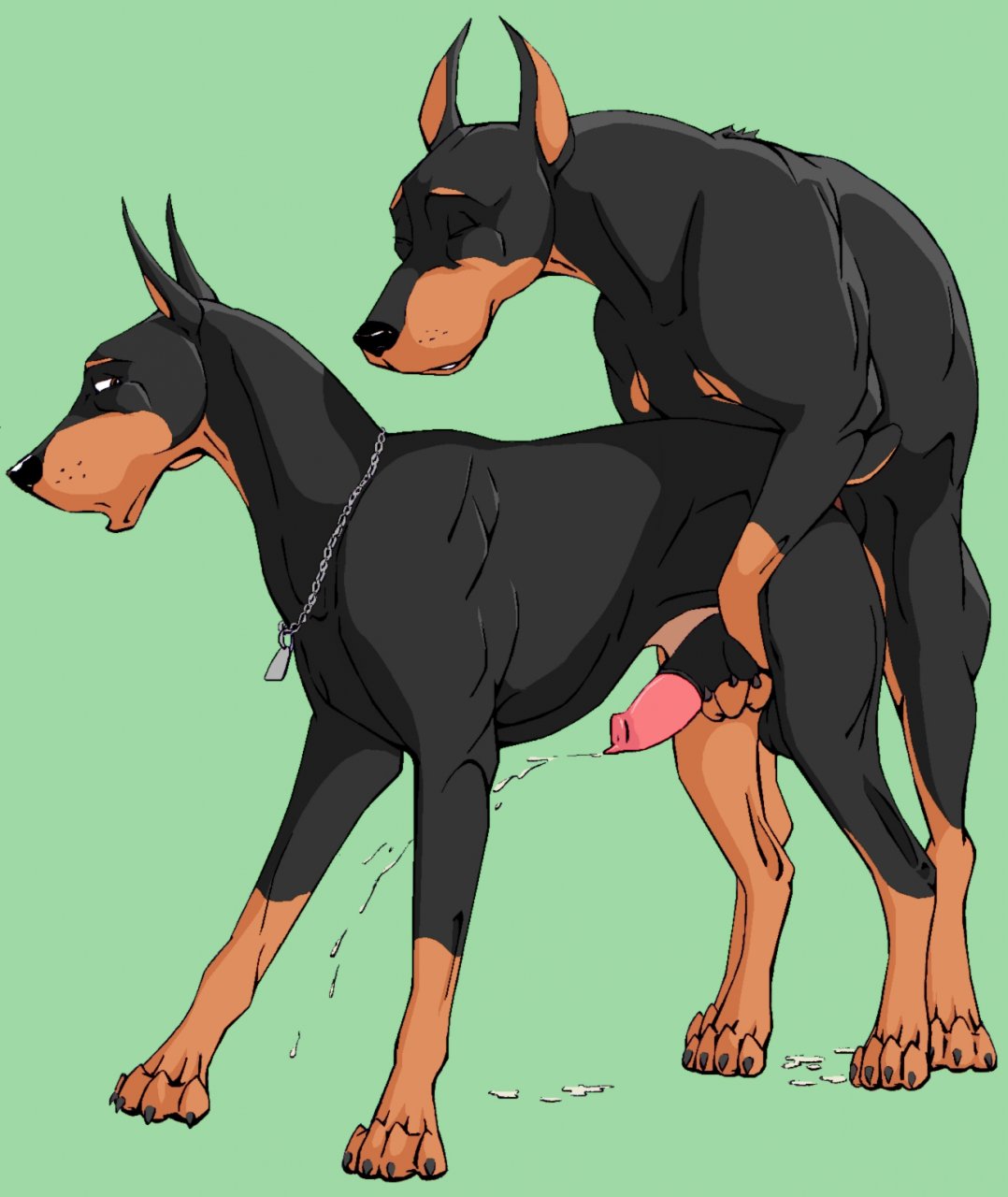 Doberman rule34