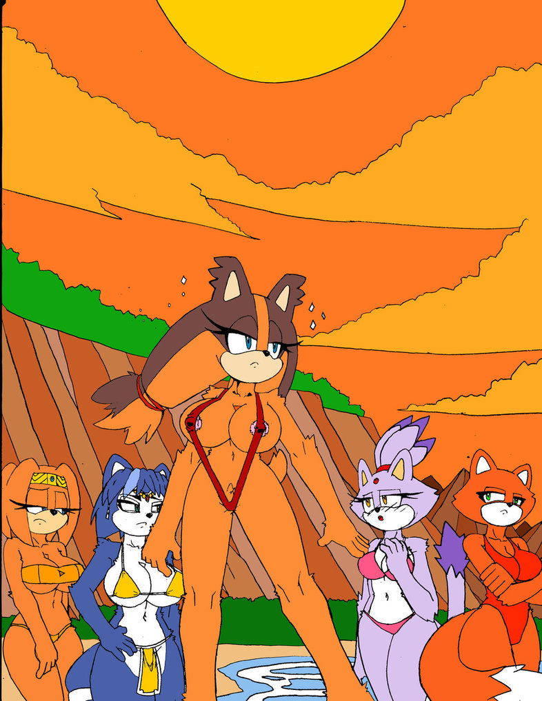 Post 1627689 Blazethecat Brutalpawsoffury Crossover Foxyroxy Krystal Sonicboom Sonicthe 2782