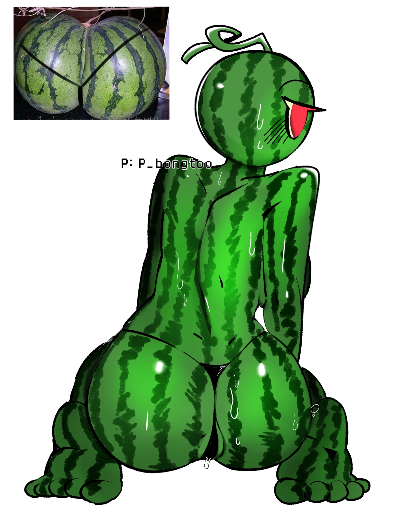 Melon playground rule34