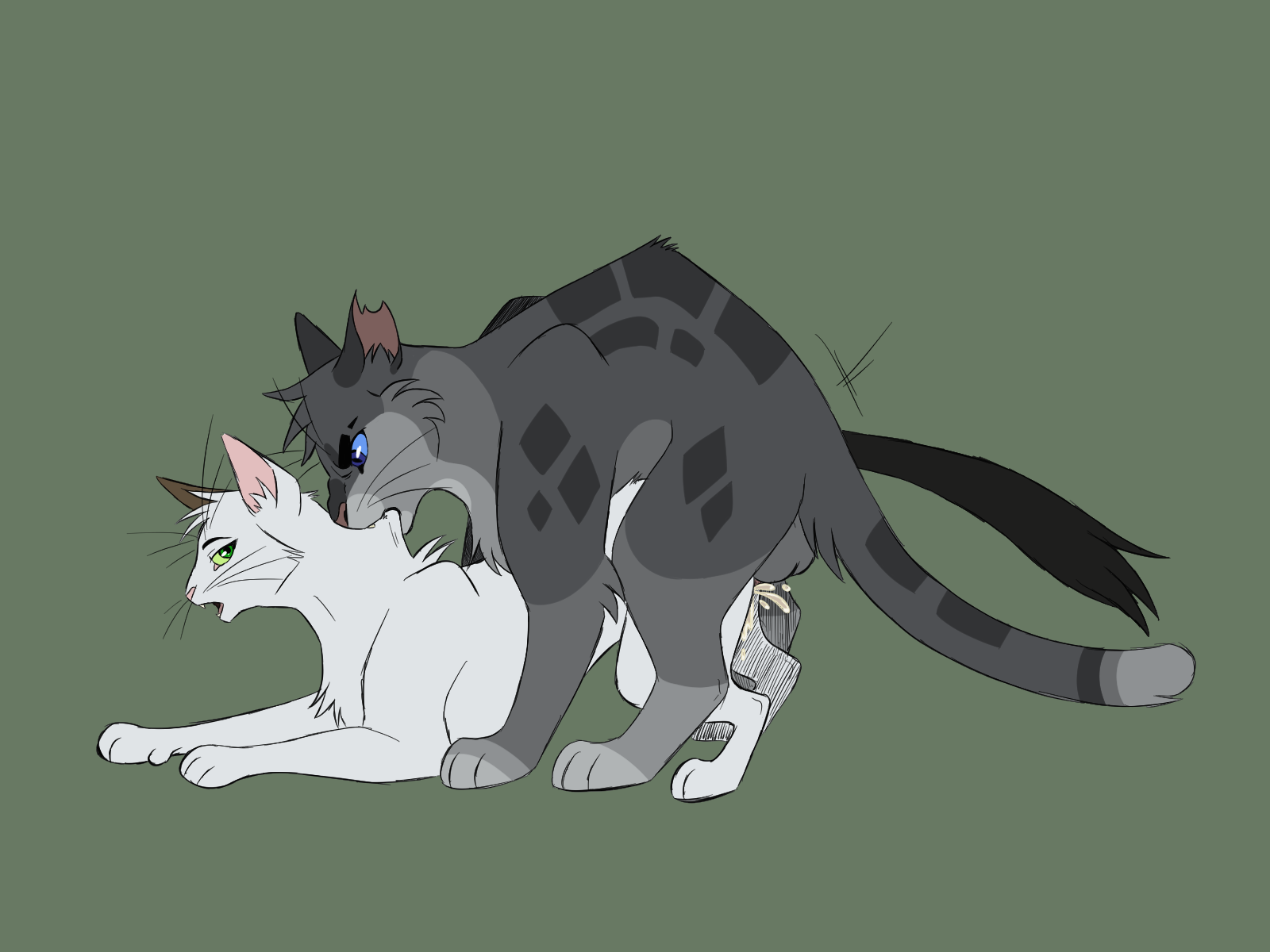 Ashfur warrior cat