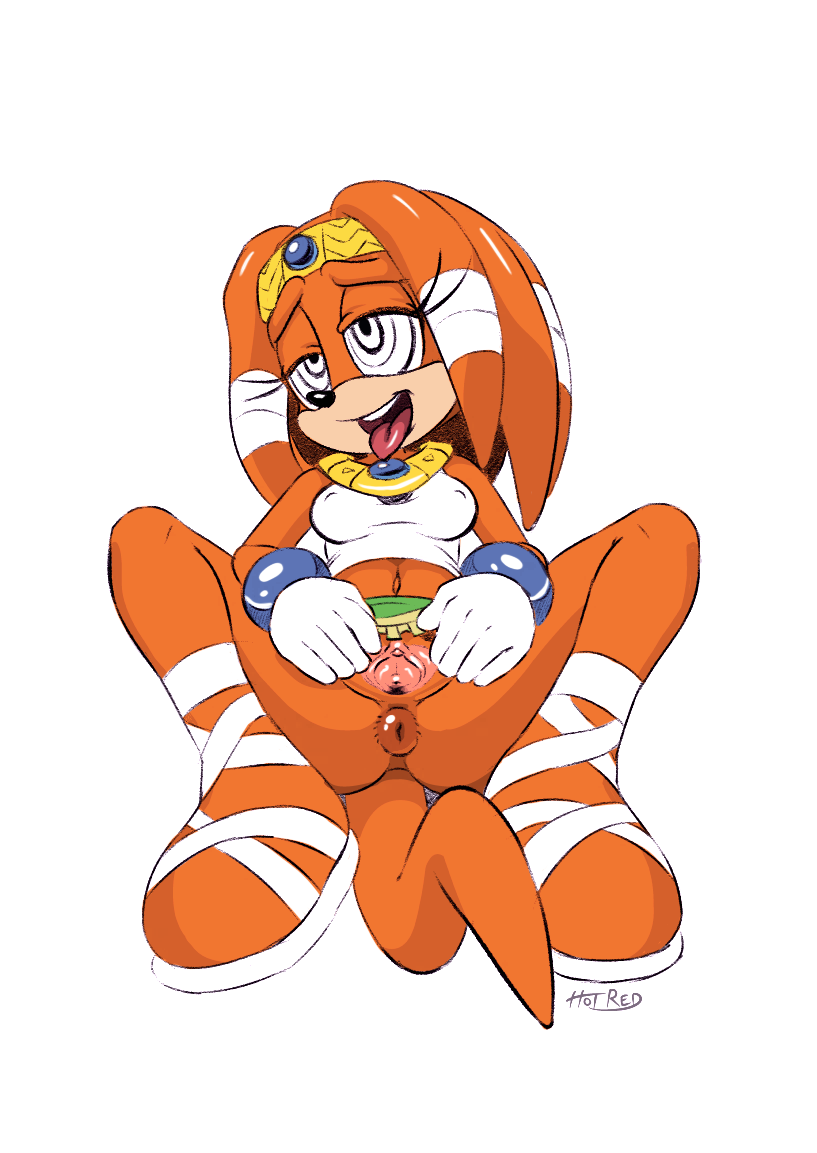 RocktheBull Sonic_the_Hedgehog_(series) Tikal_the_Echidna