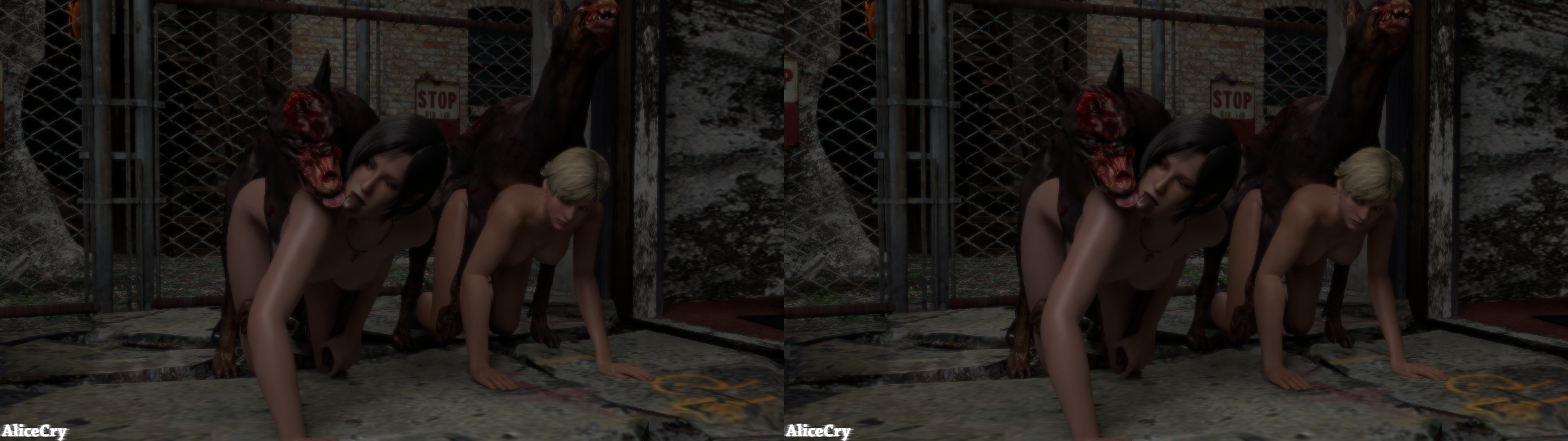 Ada_Wong Resident_Evil Sherry_Birkin alicecry stereogram