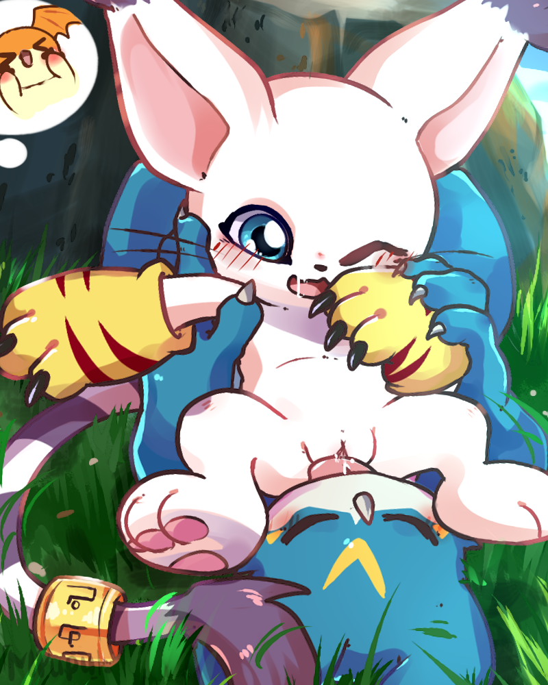 Gatomon and patamon