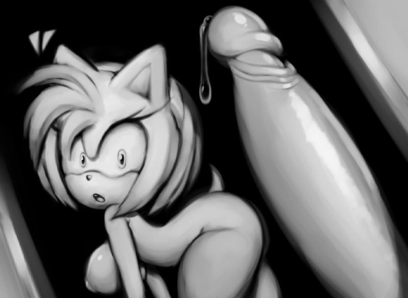 Amy_Rose Sonic_the_Hedgehog_(series) angelauxes