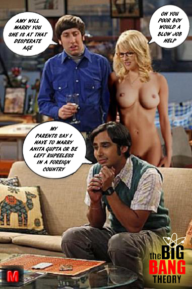 Post 1921982 Bernadette Wolowitz Fakes Howard Wolowitz Kunal Nayyar