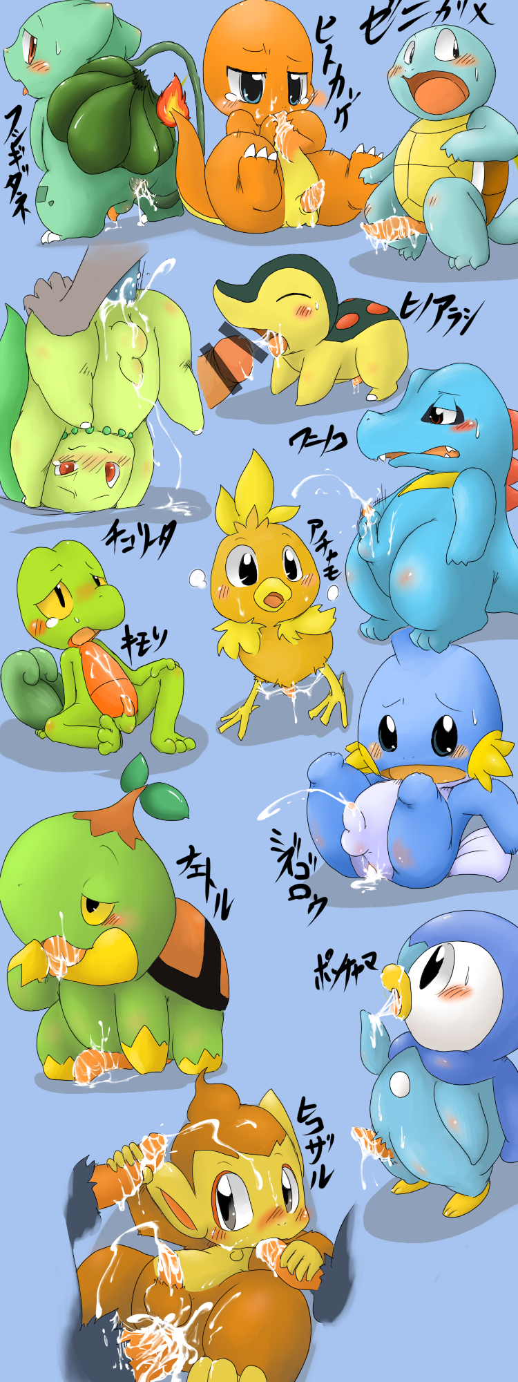 Turtwig chimchar piplup