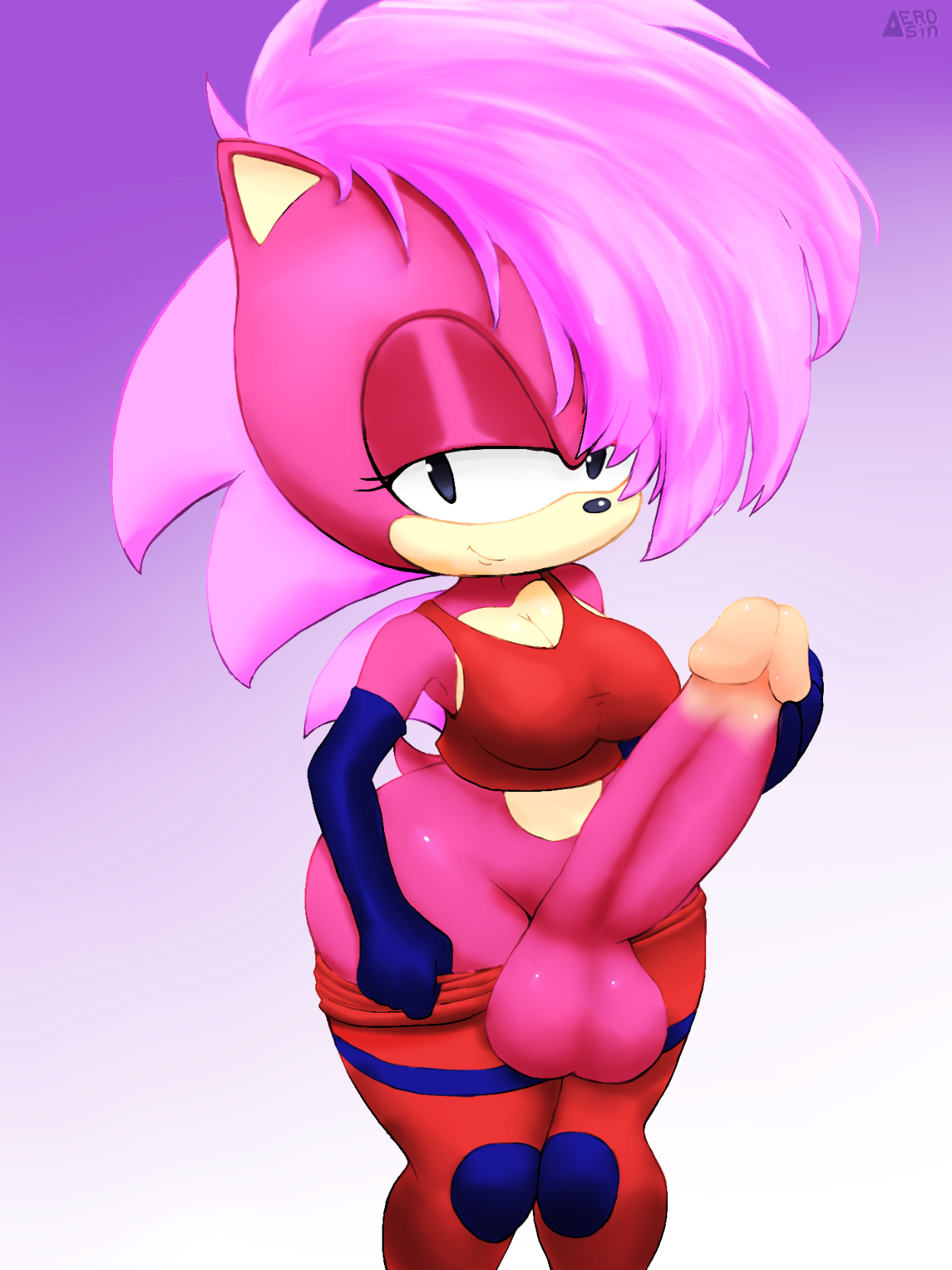 Sonia_the_Hedgehog Sonic_Underground Sonic_the_Hedgehog_(series) aerosin