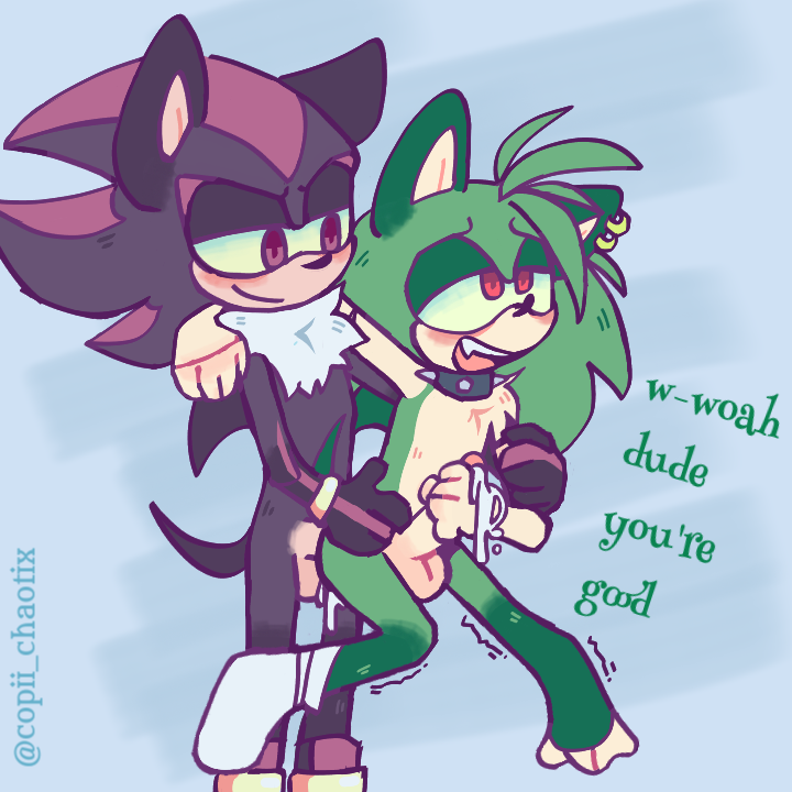 Manic_the_Hedgehog Shadow_the_Hedgehog Sonic_Underground Sonic_the_Hedgehog_(series) copii_chaotix