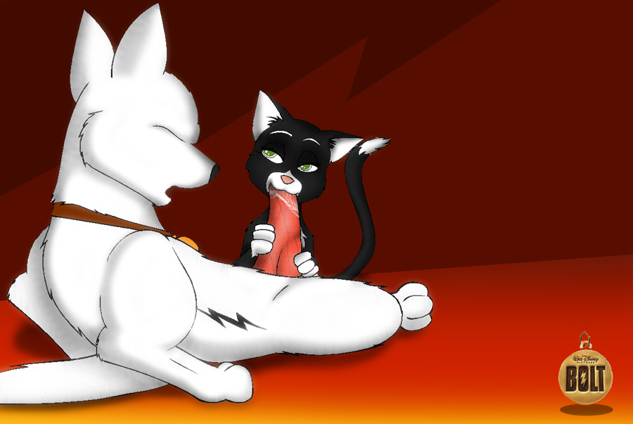 Bolt And Mittens Porn - Post 357495: Bolt Bolt_(character) fatalfox Mittens