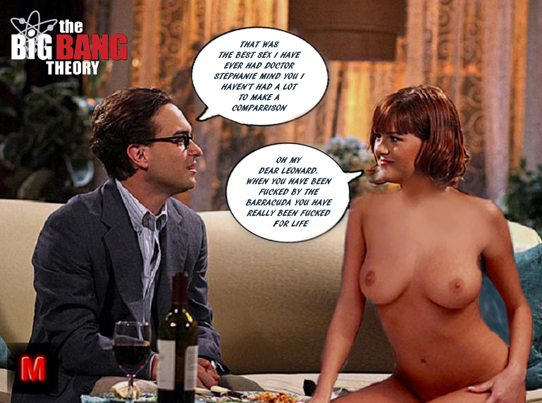 Post 1834739 Fakes Johnny Galecki Leonard Hofstadter Moyman Sara Rue Stephanie Barnett The Big