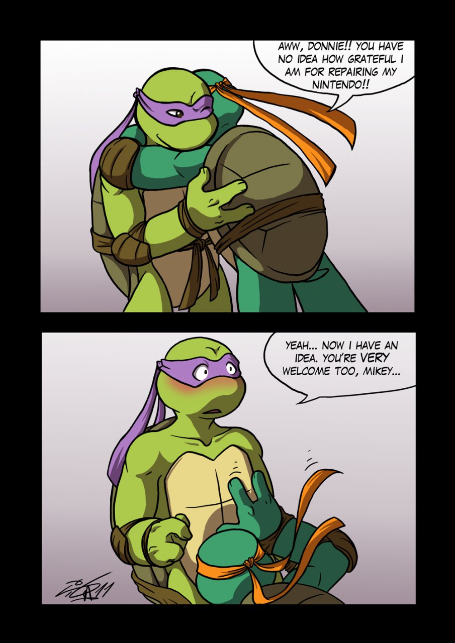 Post 592002: Donatello Michelangelo Rockgaara Teenage_Mutant_Ninja_Turtles