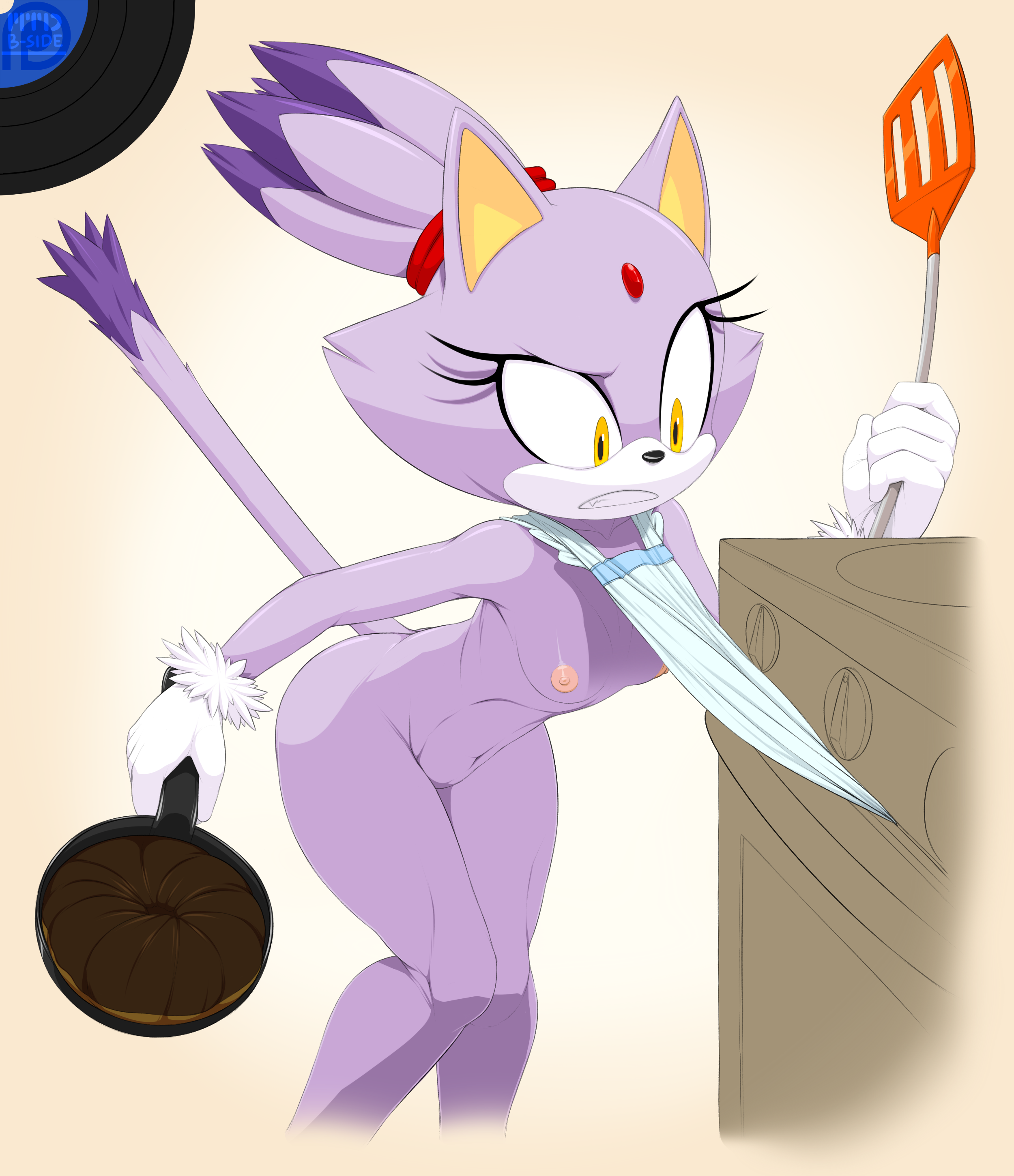 Blaze Cat Porn - Post 1463224: Blaze_the_Cat MarTheDog Sonic_the_Hedgehog_(series)