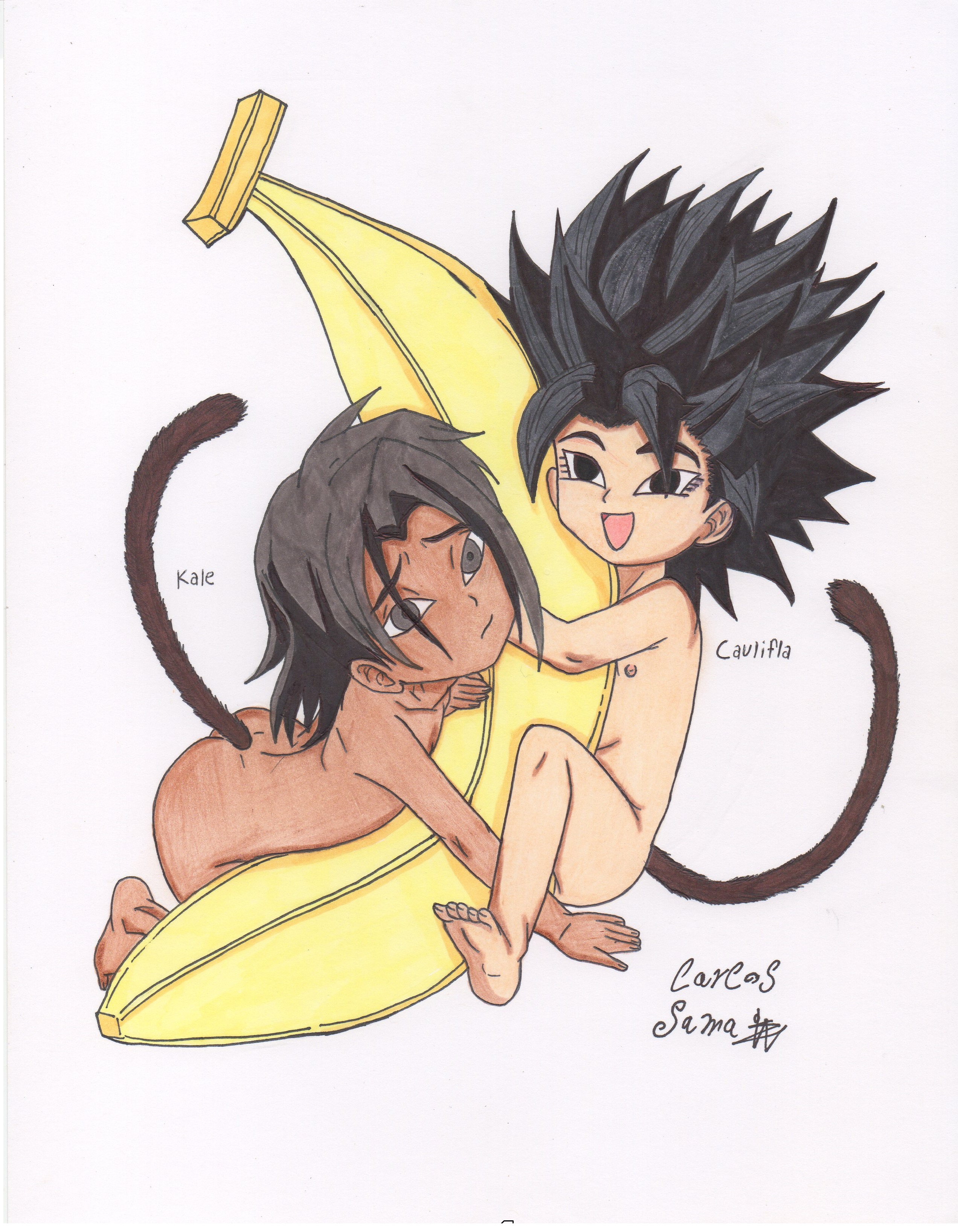 Post 2629155: Caulifla Dragon_Ball_(series) Kale Saiyan solidcharles