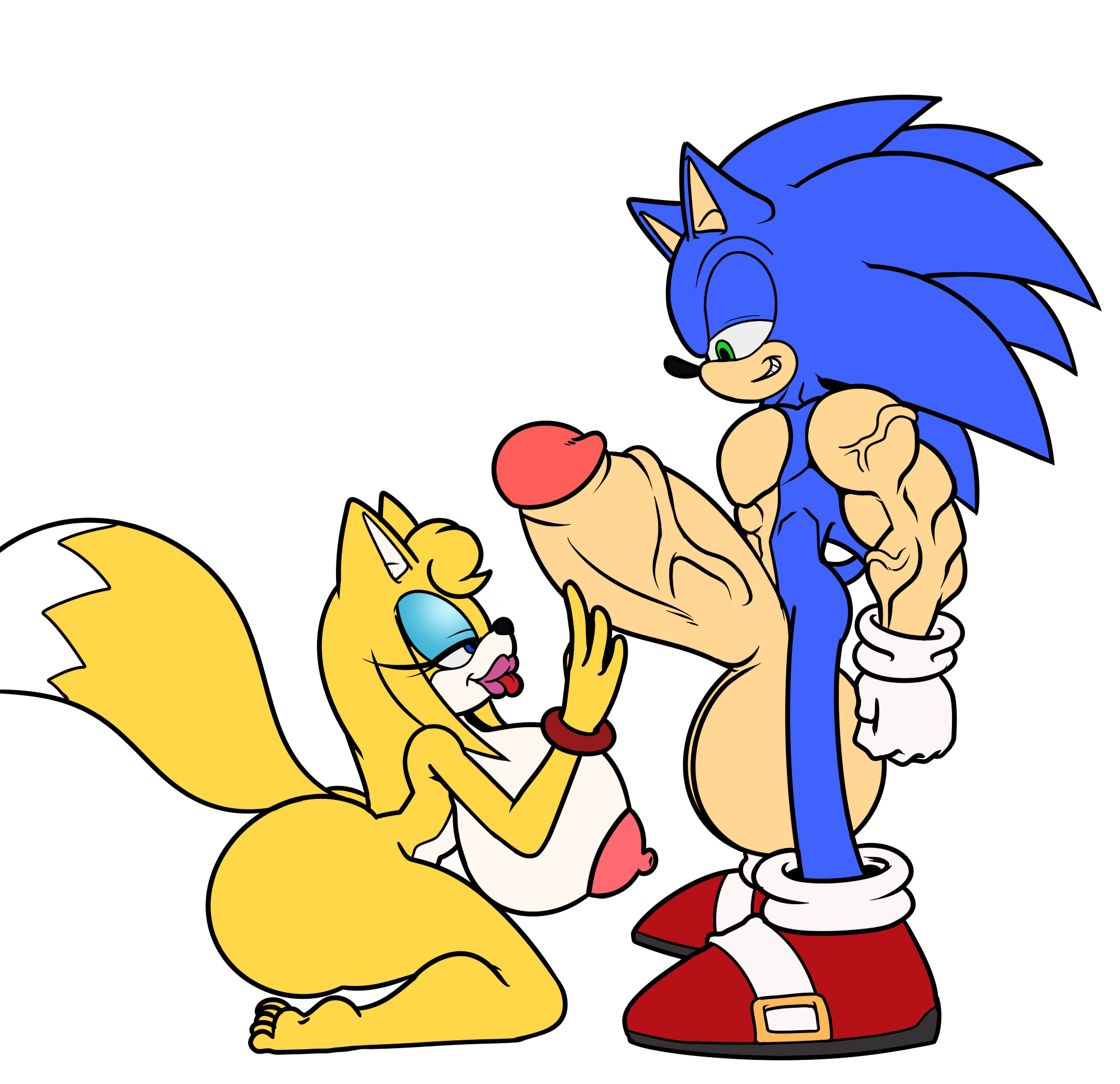 ArcadeTheHedgehog Sonic_Boom Sonic_the_Hedgehog Sonic_the_Hedgehog_(series) Zooey_the_Fox