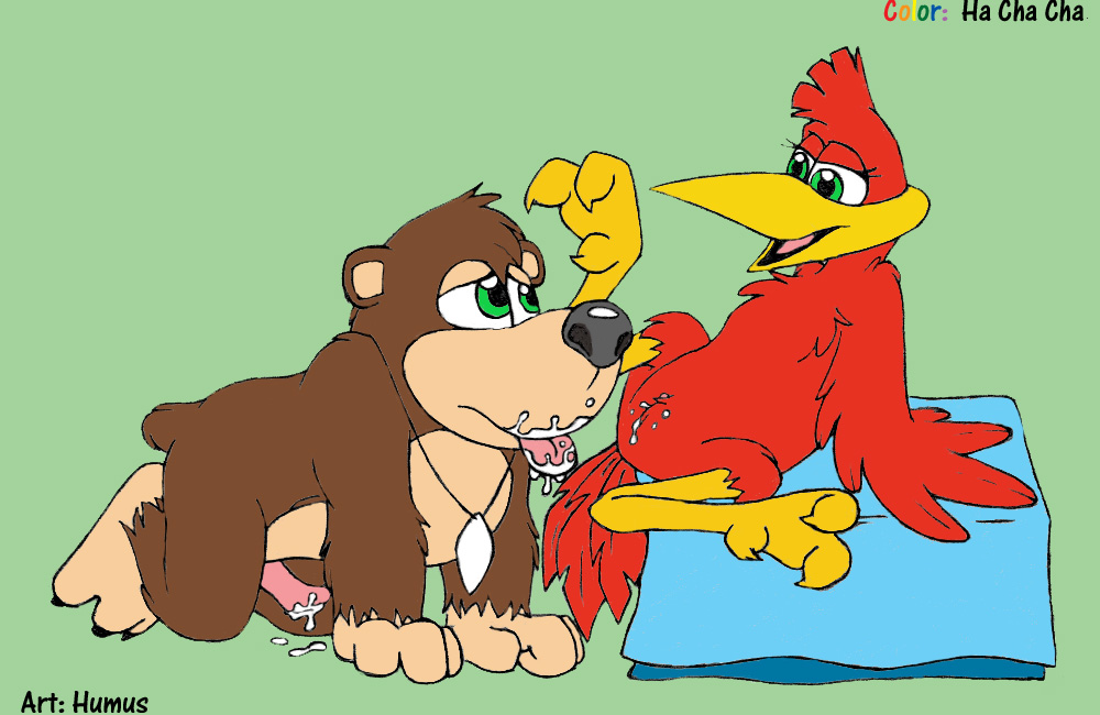 Banjo Kazooie Porn Penis - Post 227926: Banjo Banjo-Kazooie Ha_Cha_Cha Humus_(artist) Kazooie Mizzyam