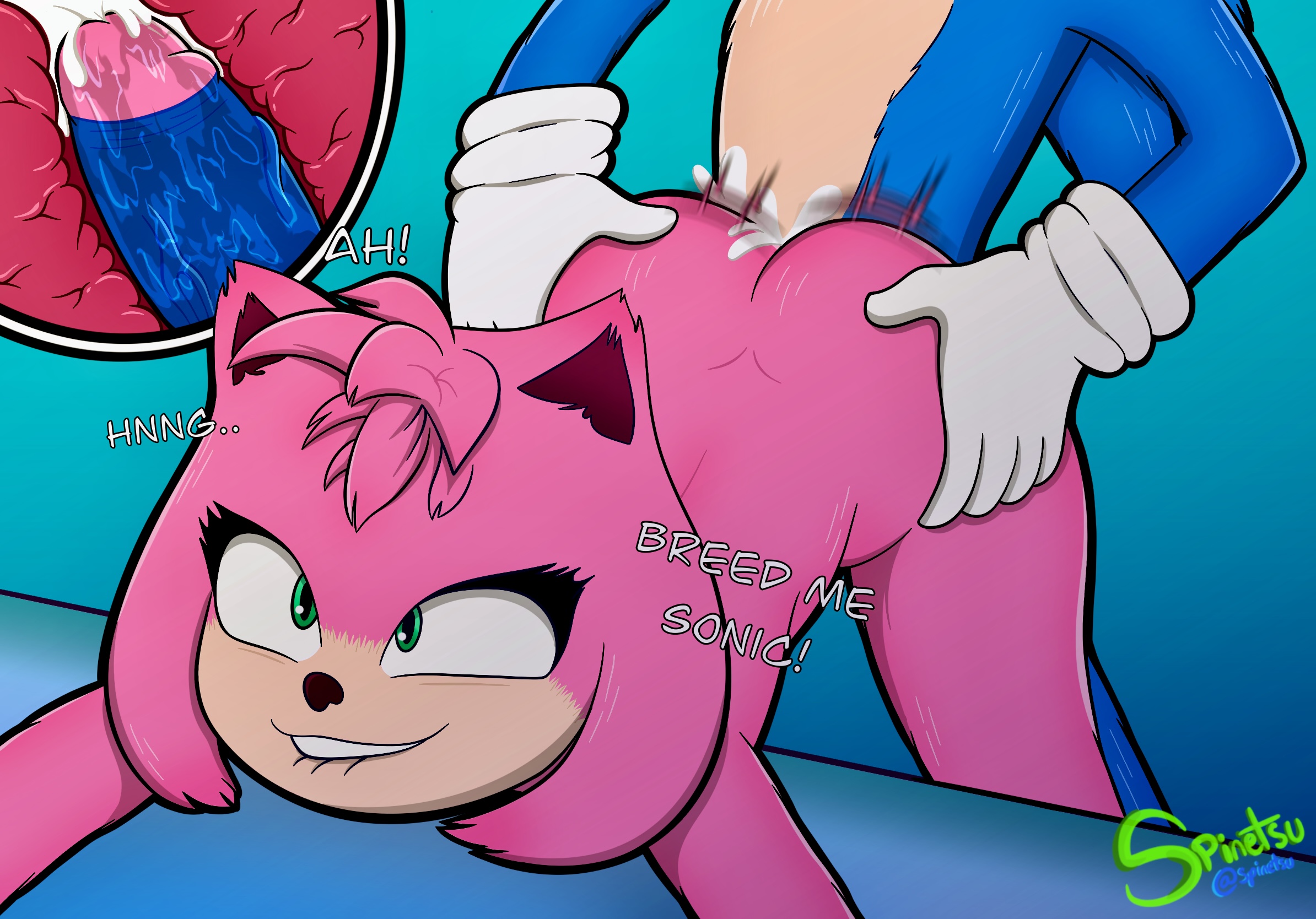 Amy_Rose Sonic_the_Hedgehog Sonic_the_Hedgehog_(film) Sonic_the_Hedgehog_(series) spinetsu