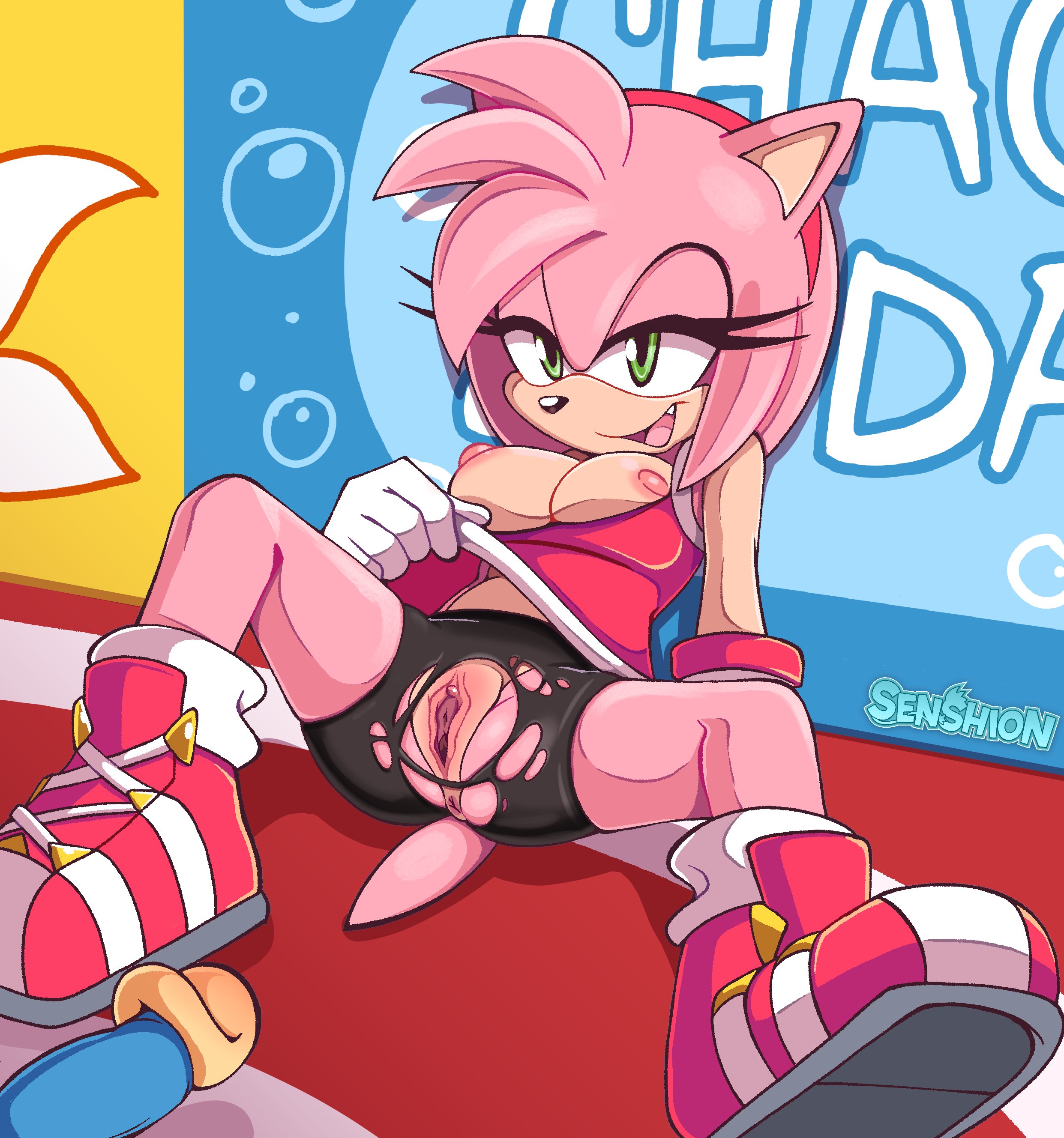 Amy_Rose Sonic_the_Hedgehog_(series) senshion