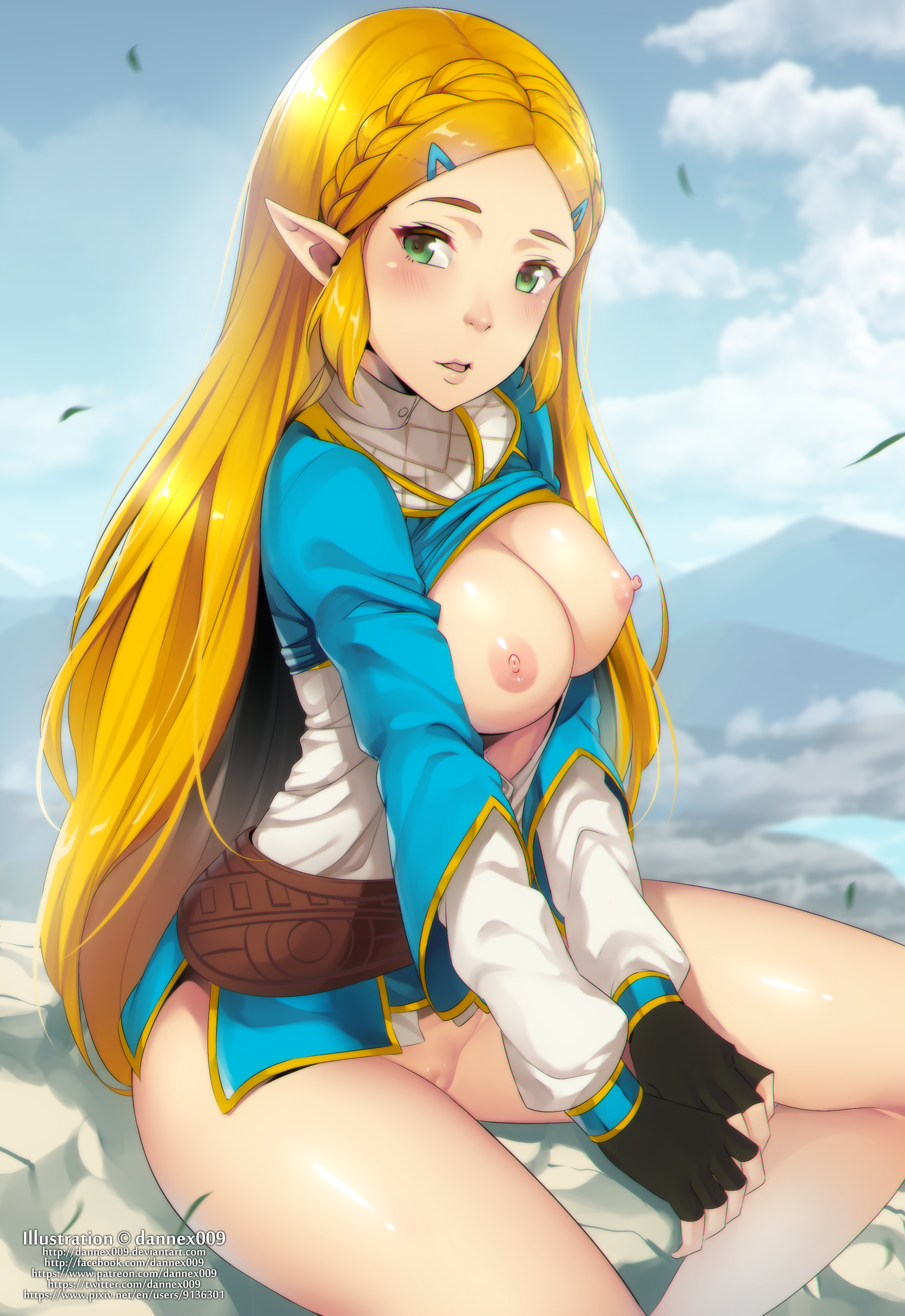 Breath_of_the_Wild Legend_of_Zelda Princess_Zelda dannex009