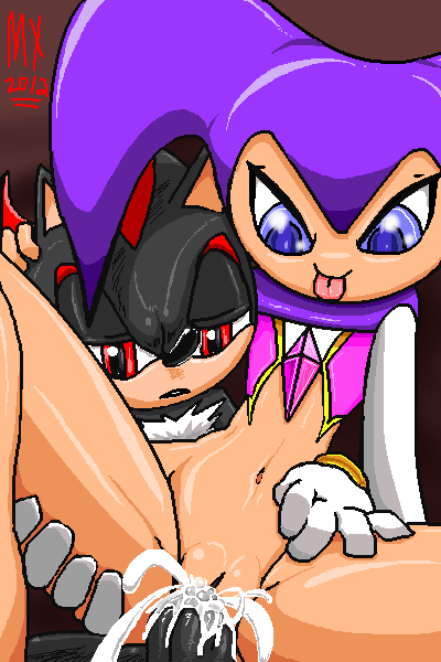 NiGHTS Nights_Into_Dreams Shadow_the_Hedgehog Sonic_the_Hedgehog_(series) monkeyxflash