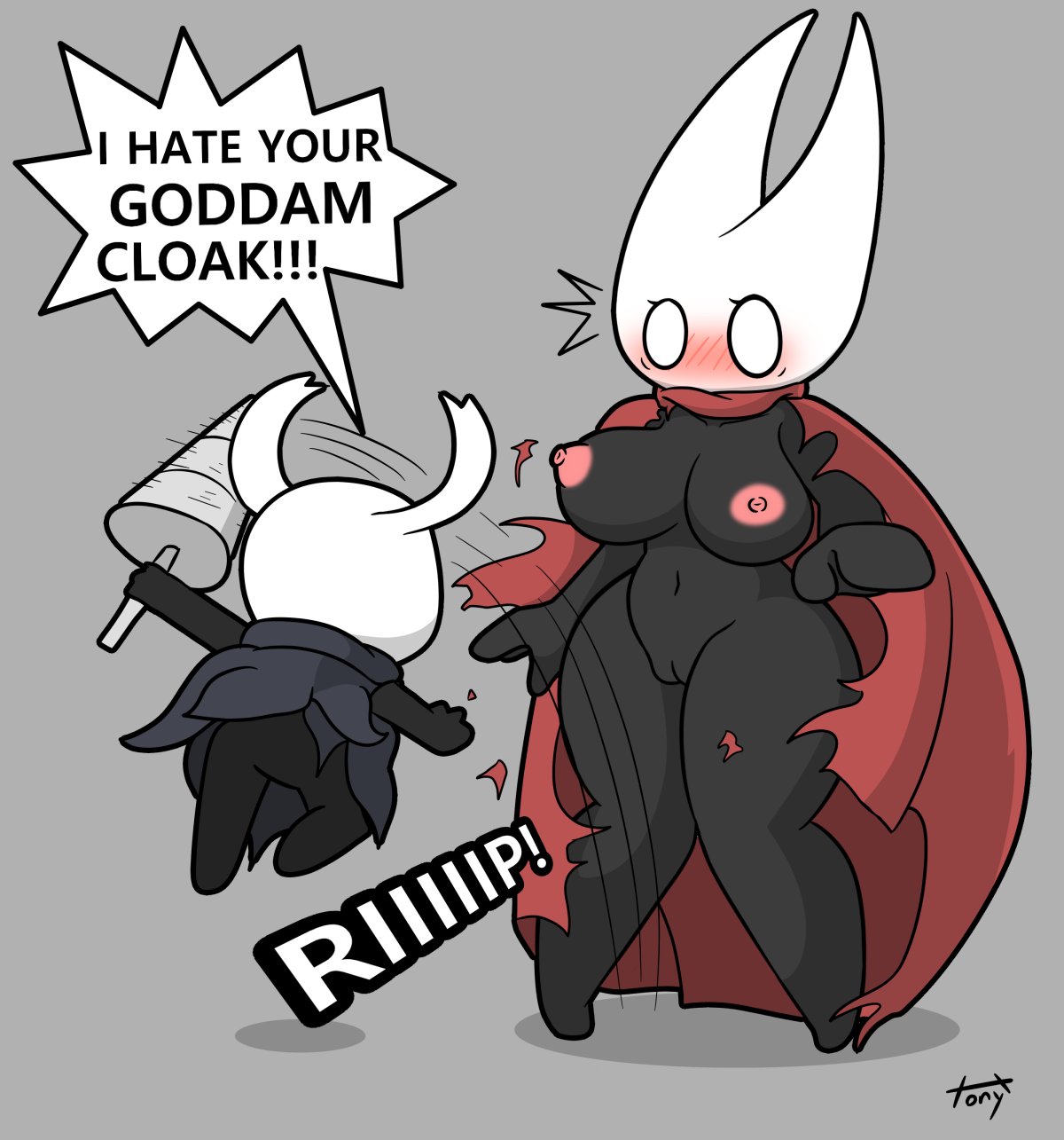 Hollow_Knight Hornet The_Knight TonyToran