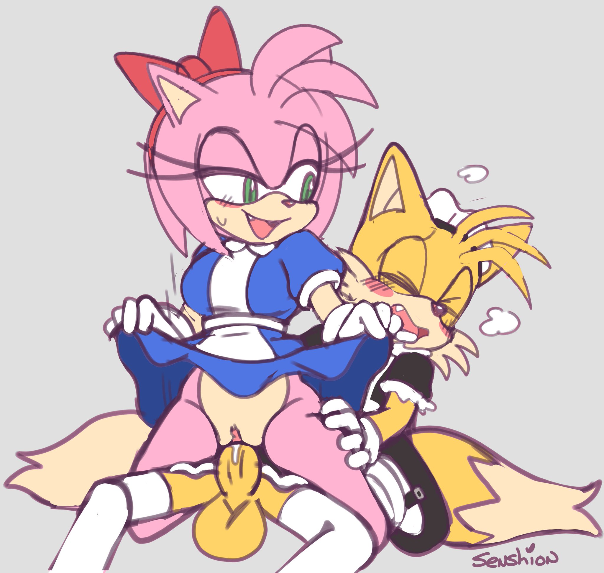 Amy_Rose Sonic_the_Hedgehog_(series) Tails senshion