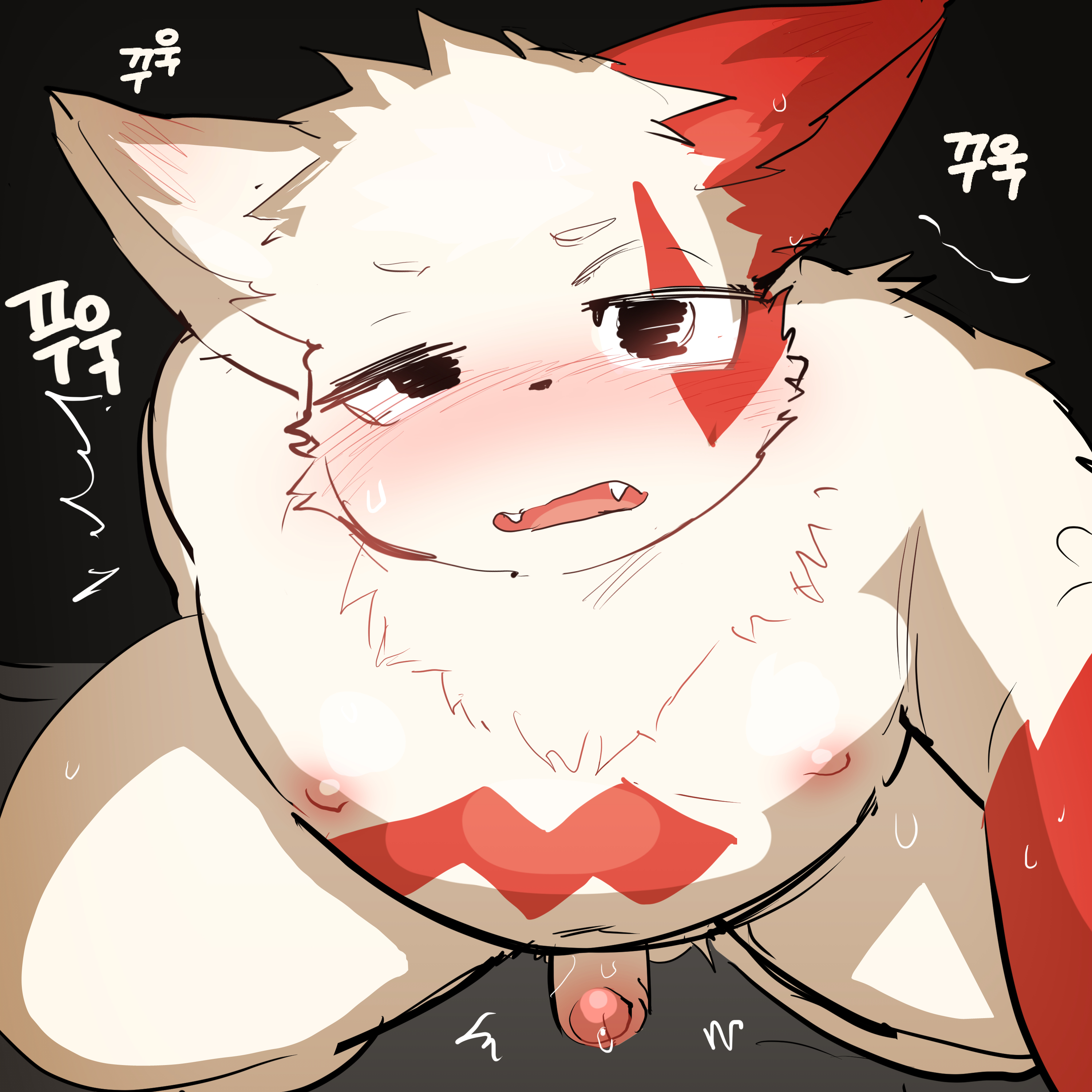 GGu_open Porkyman Zangoose