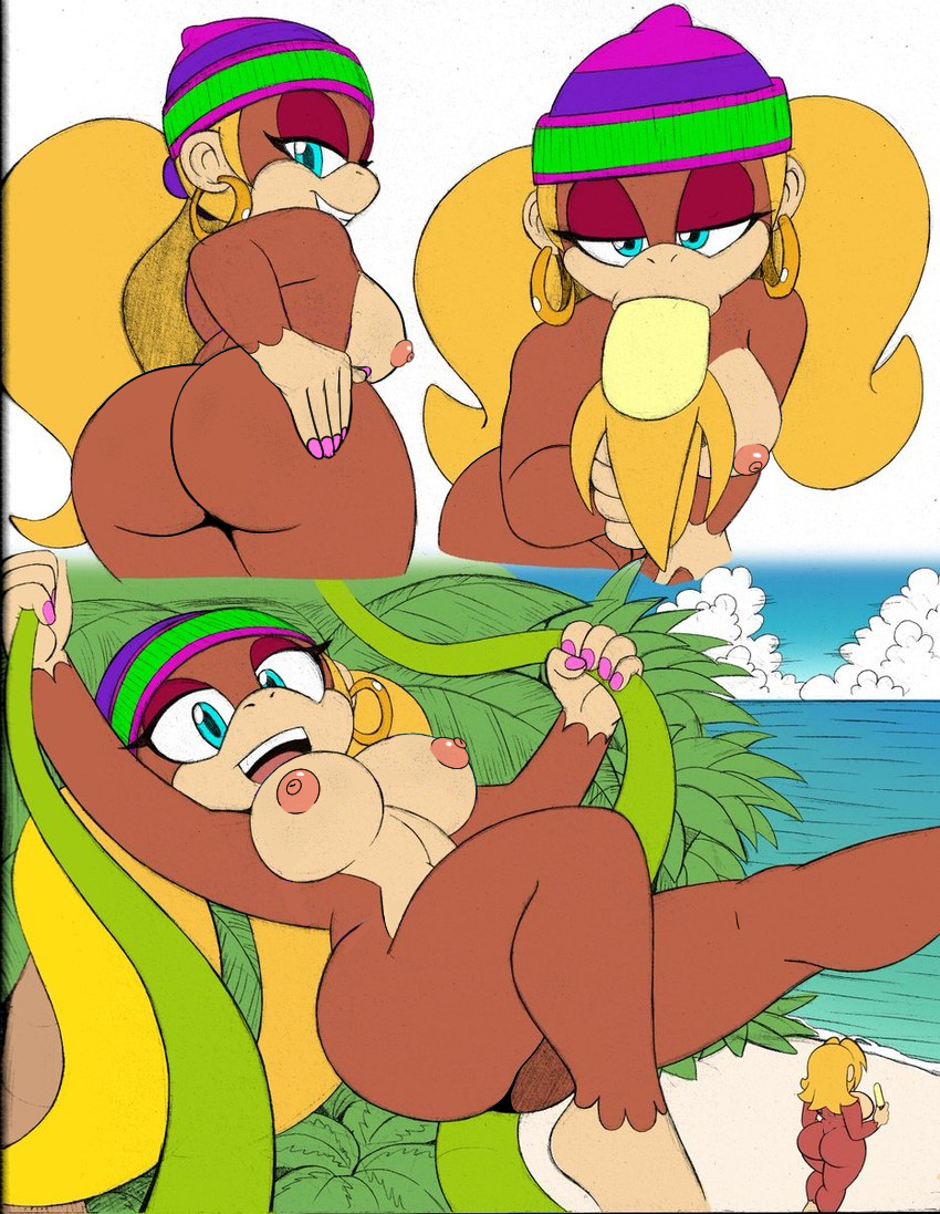 Candy_Kong Donkey_Kong_Country GlacierK Omegasunburst Tiny_Kong edit