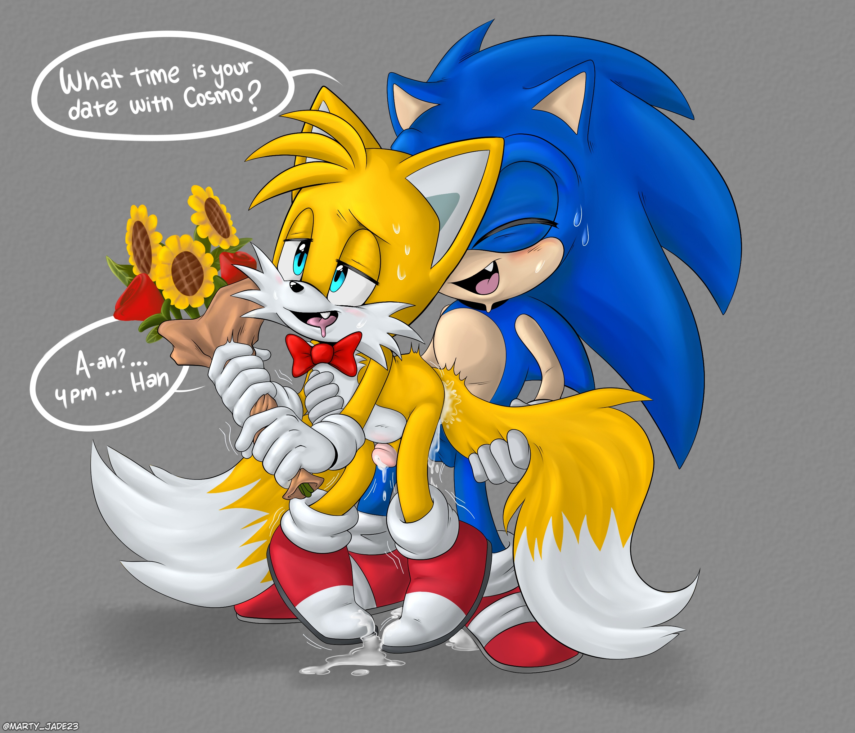 Tails and sonic r34