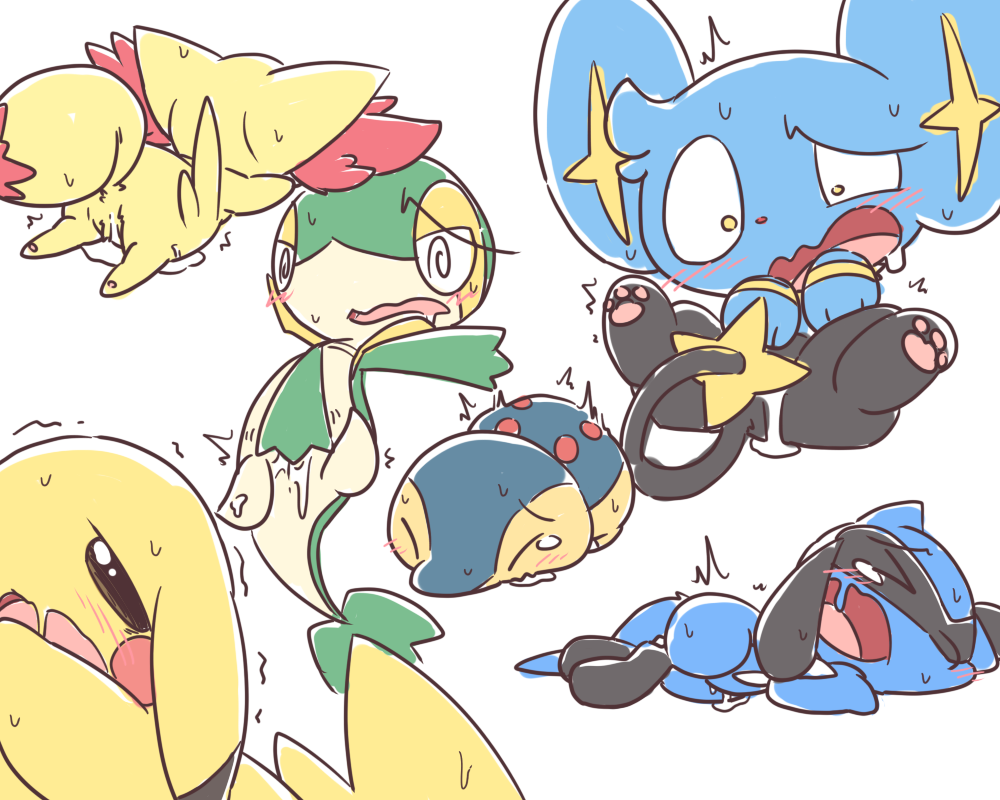 Cyndaquil Fennekin Nettsuu Pikachu Porkyman Riolu Shinx Snivy