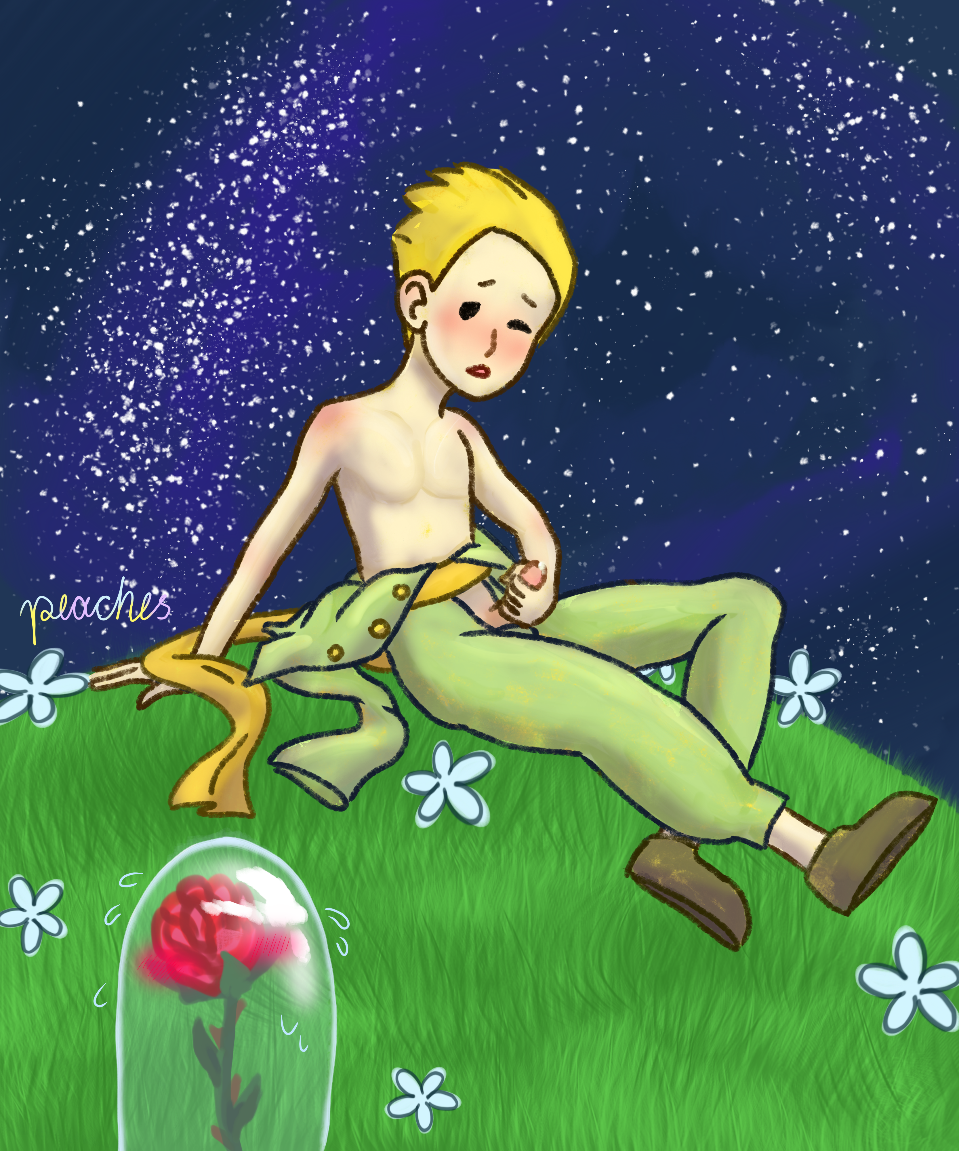 Little prince rule 34