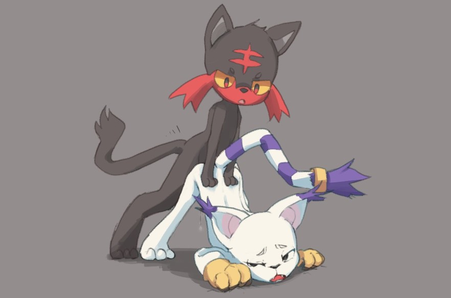 Digimon Gatomon Litten Porkyman crossover finegan