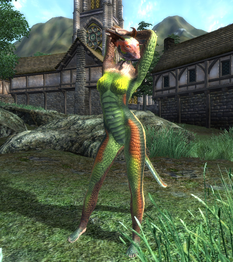 Post 163341 Argonian dar ma Oblivion The Elder Scrolls 