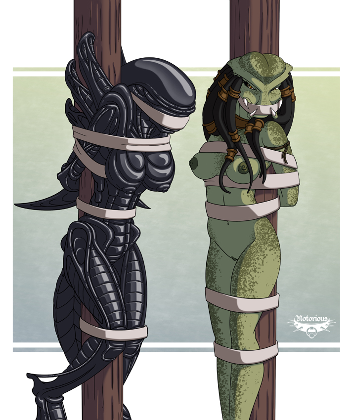 Alien And Predator Sex - Post 889699: Alien Aliens_vs_Predator notorious Predator Predator_(franchise)  Xenomorph Yautja