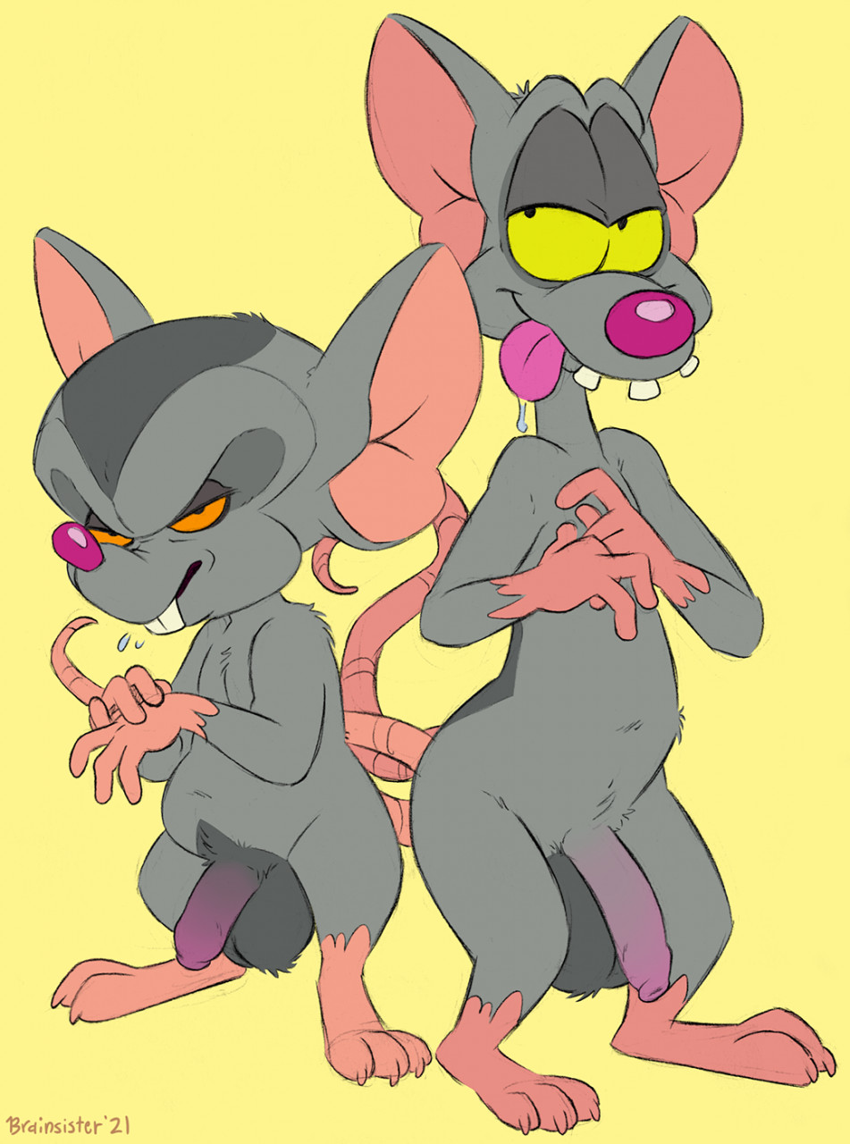 Pinky_and_the_Brain