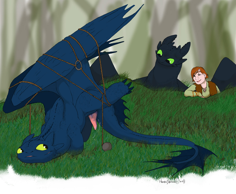 Post 595186: Hiccup How_to_Train_Your_Dragon Necrodrone13 Toothless