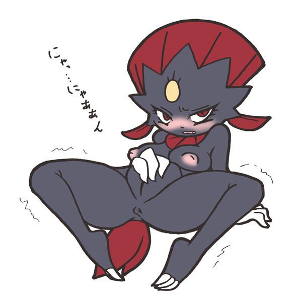 Porkyman Weavile shinooka