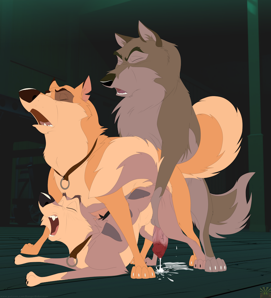 Post 5495265 Balto Balto Character Kaltag Star Wildwulf