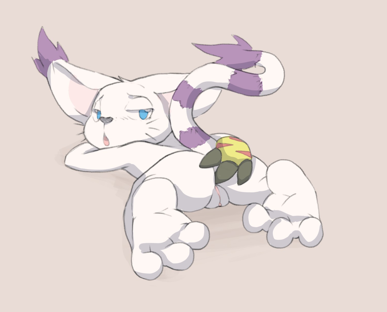 Digimon Digimon_Adventure Gatomon finegan