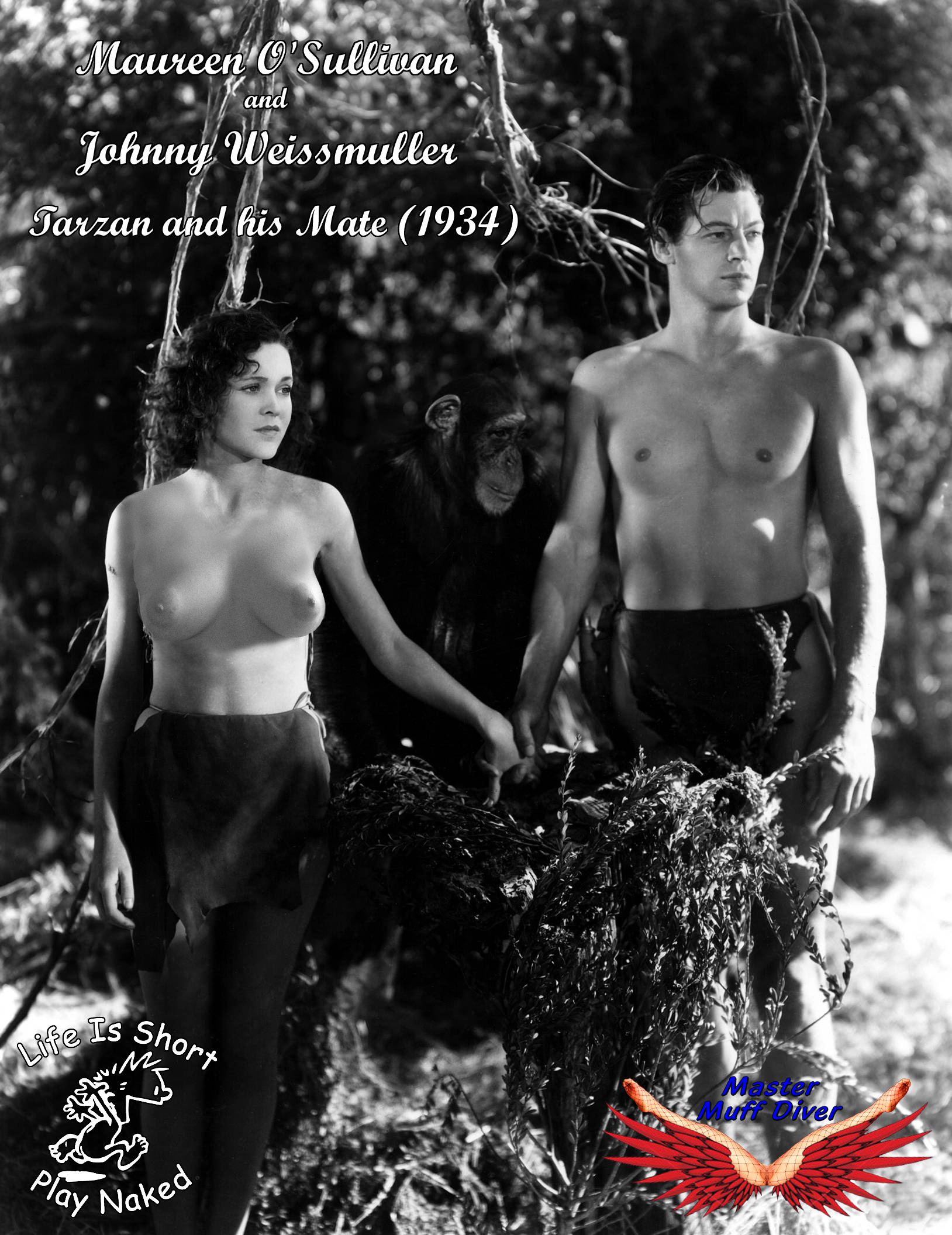 Post 1764235 Fakes Janeparker Johnnyweissmuller Maureenosullivan Muffdiver Tarzan Tarzan 