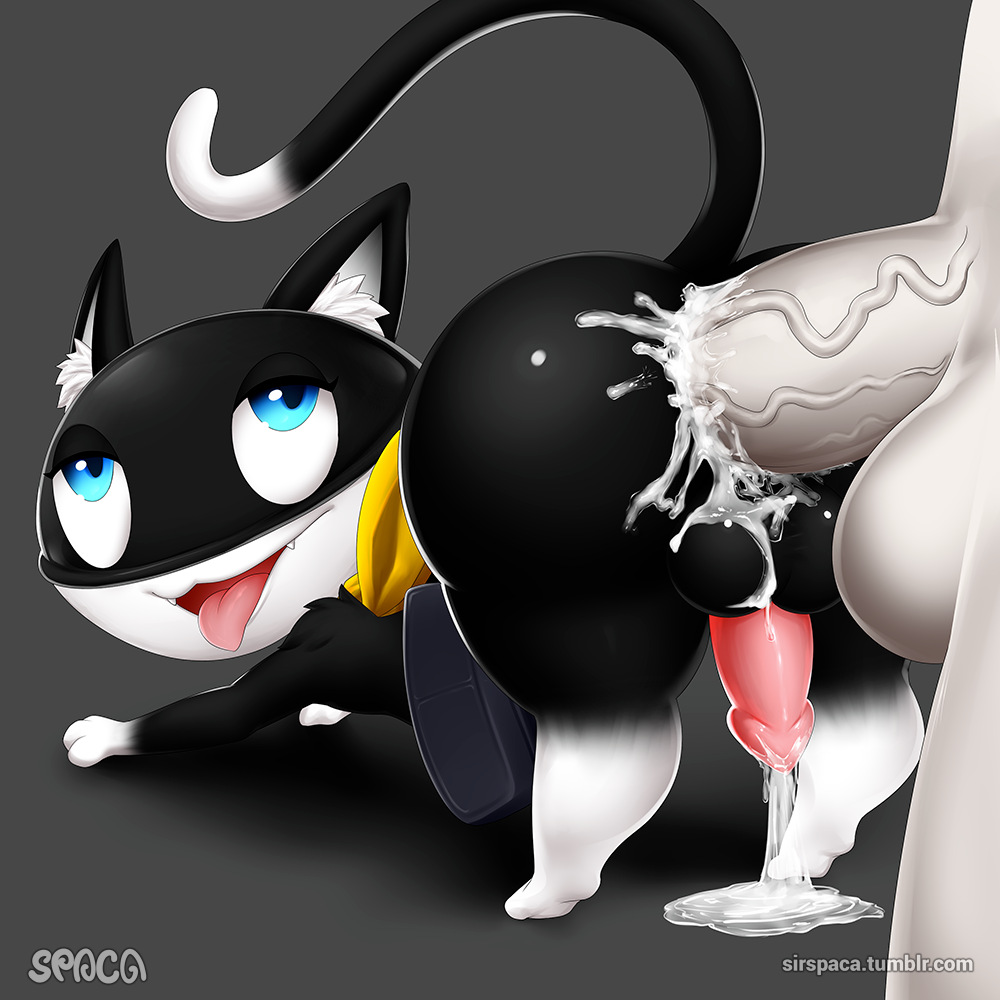 Morgana Persona_5 SpacaScaleno