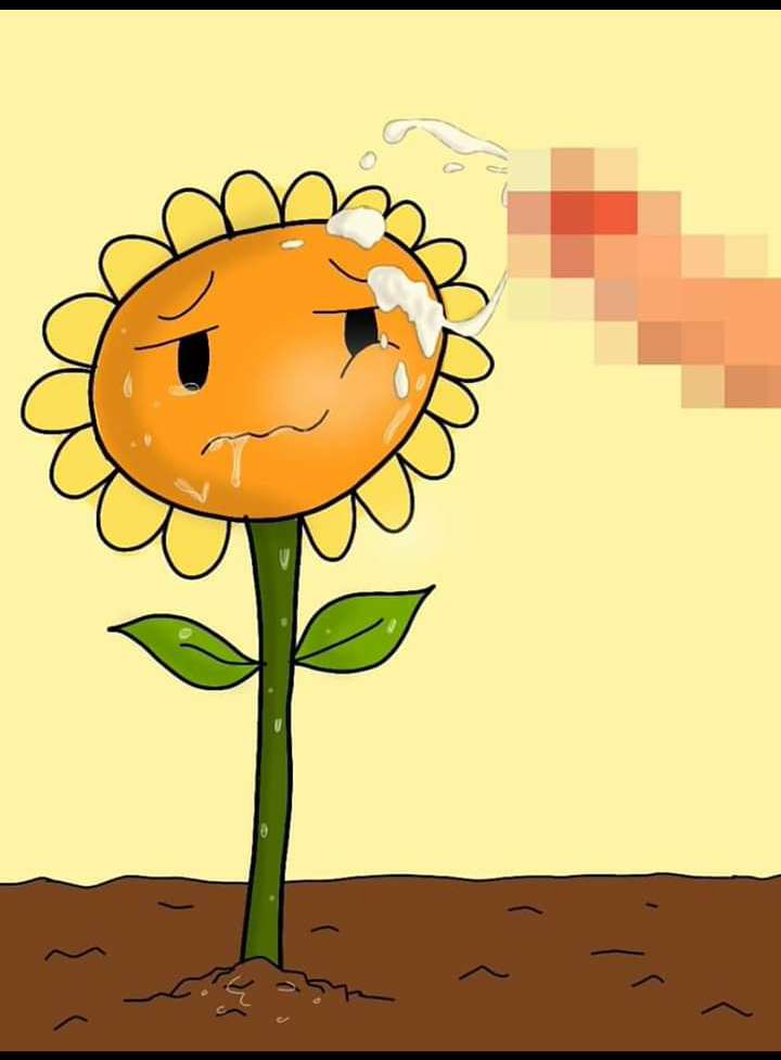 Plants_vs._Zombies Sunflower