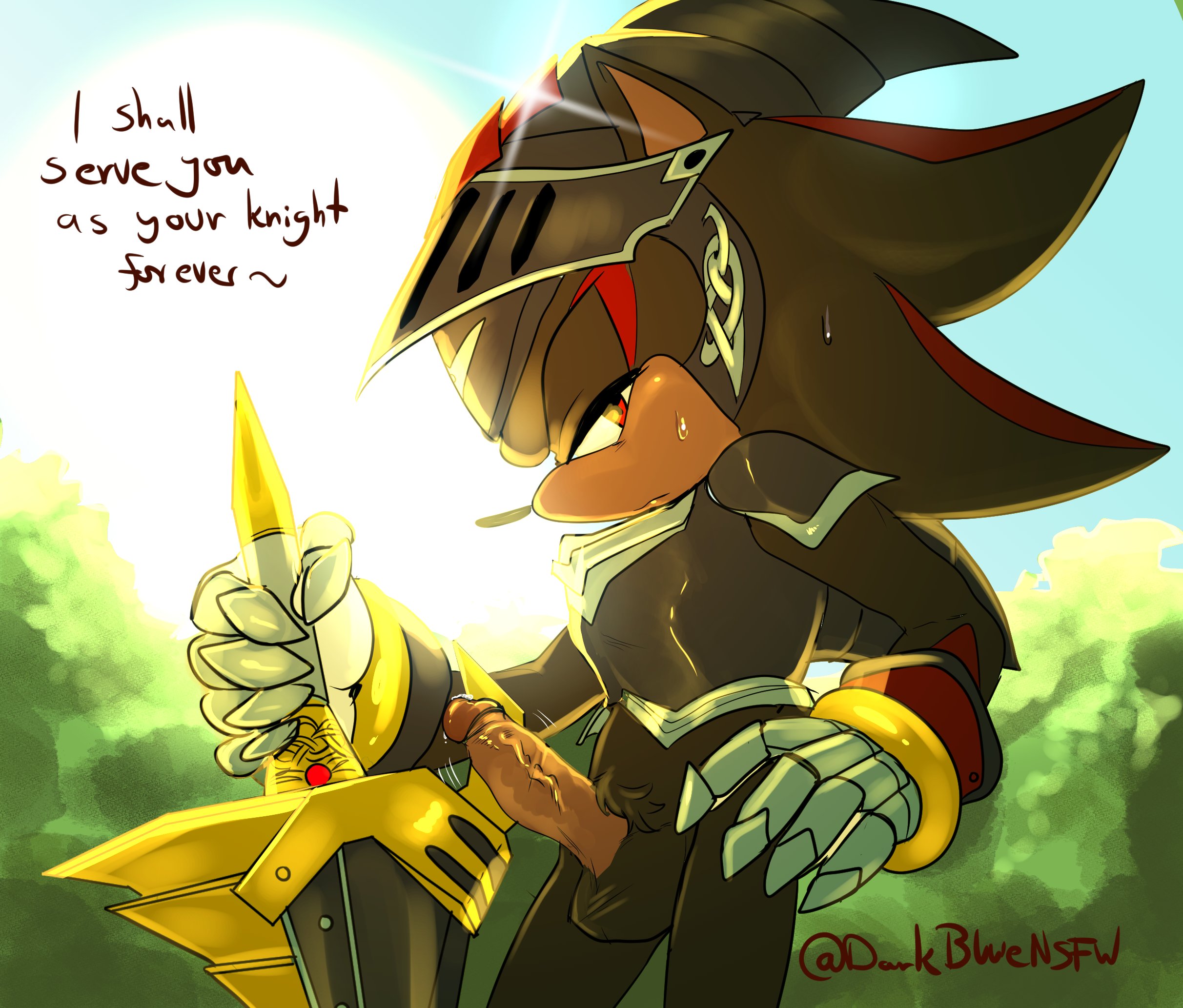 Post 4545449 Darkblue Lancelot Shadow The Hedgehog Sonic And The Black