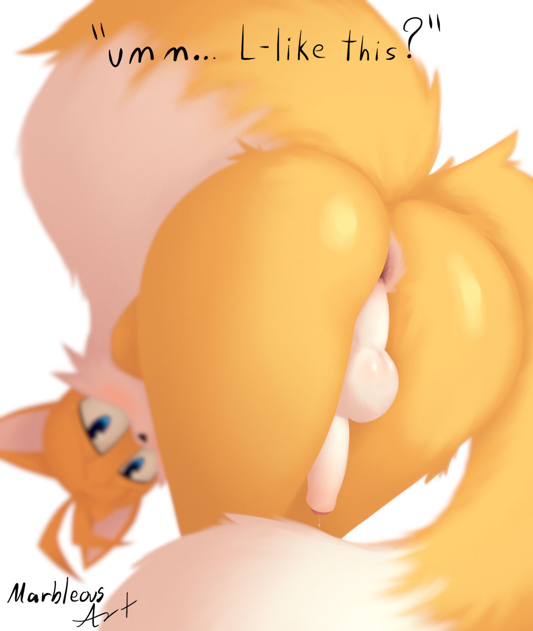 Marbleous Sonic_the_Hedgehog_(series) Tails